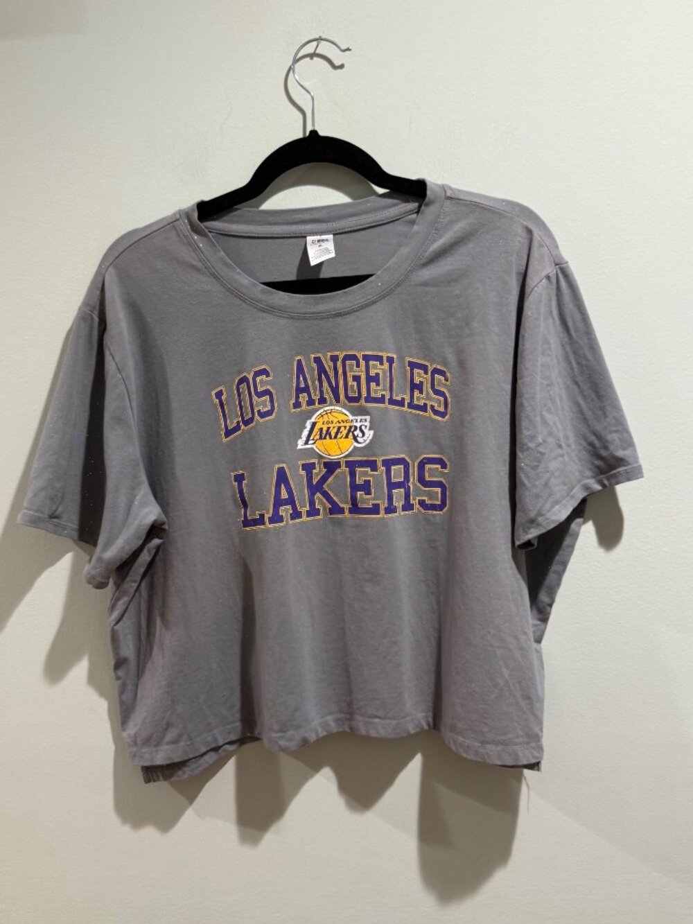 Official NBA LA Lakers Gray Cropped Graphic T-Shirt Women's Size XL